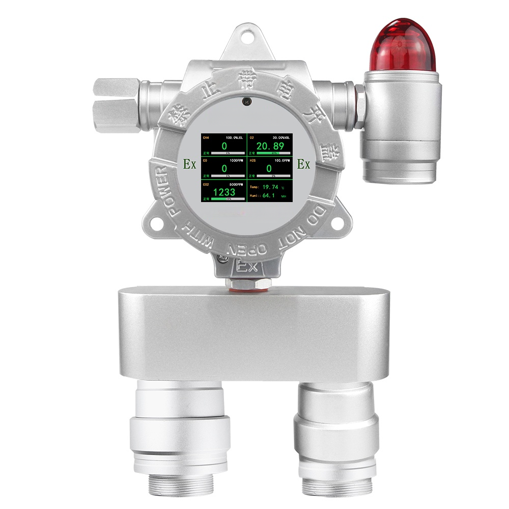 Multi Gas Detector for 2 Gases