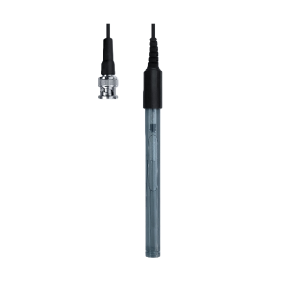 E202 electrode