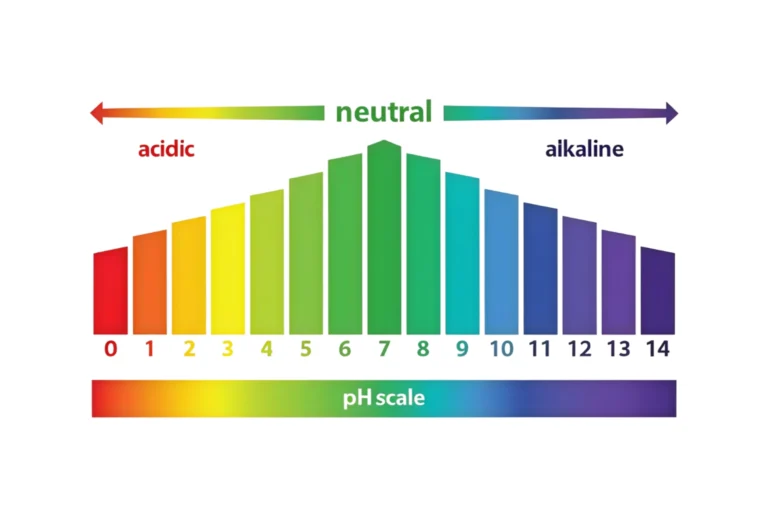 pH In Water: Importance & Buying Guide