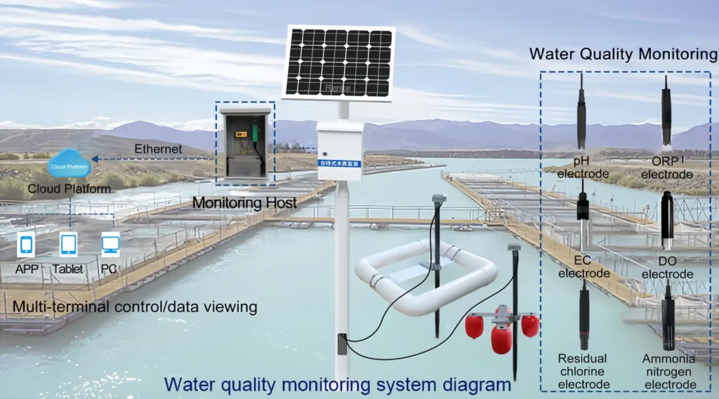 Water quality testing system
